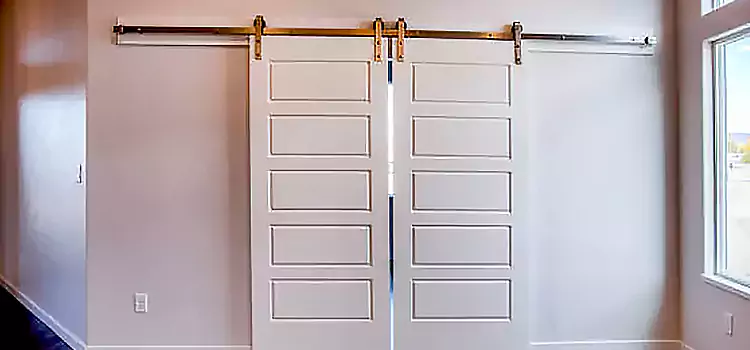 Glass Barn Door with Installation Hardware Kit New Braunfels